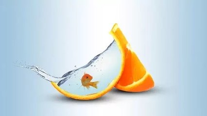 平面設計中的創意趣味合成 橙皮魚缸的PS實現與專業服務